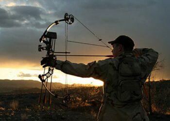 Abruzzo, il WWF si scaglia contro la caccia notturna e con l’arco ai cinghiali