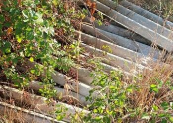 Morrovalle (MC), i cacciatori scoprono nuovi rifiuti abbandonati