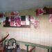 Vandali animalisti devastano il quagliodromo di Levate (Bergamo)