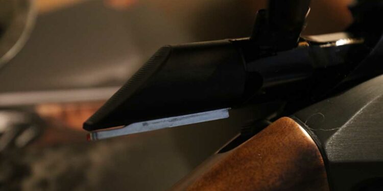 Benelli LUPO Wood BE.S.T. | Gallery