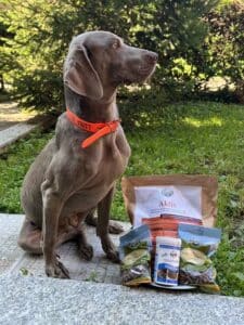crocchette per cani bellfor crocchette per cani bellfor