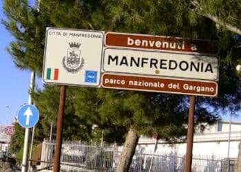 Agricoltori disperati a Manfredonia per i campi distrutti dai cinghiali