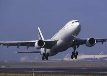 Il lockdown ha fatto aumentare gli impatti tra aerei e fauna selvatica