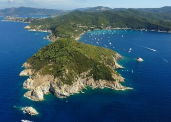 L’Isola d’Elba diventa zona non vocata ai cinghiali