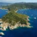 L’Isola d’Elba diventa zona non vocata ai cinghiali