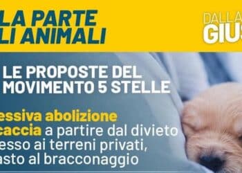 monito 5 stelle animali