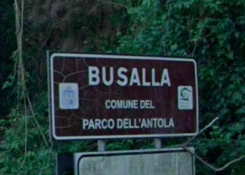 Peste Suina, scoperto un nuovo cinghiale infetto in Liguria: i casi salgono a 64