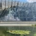 Trento, una nuova oasi di biodiversità in città: il Biotopo Muse