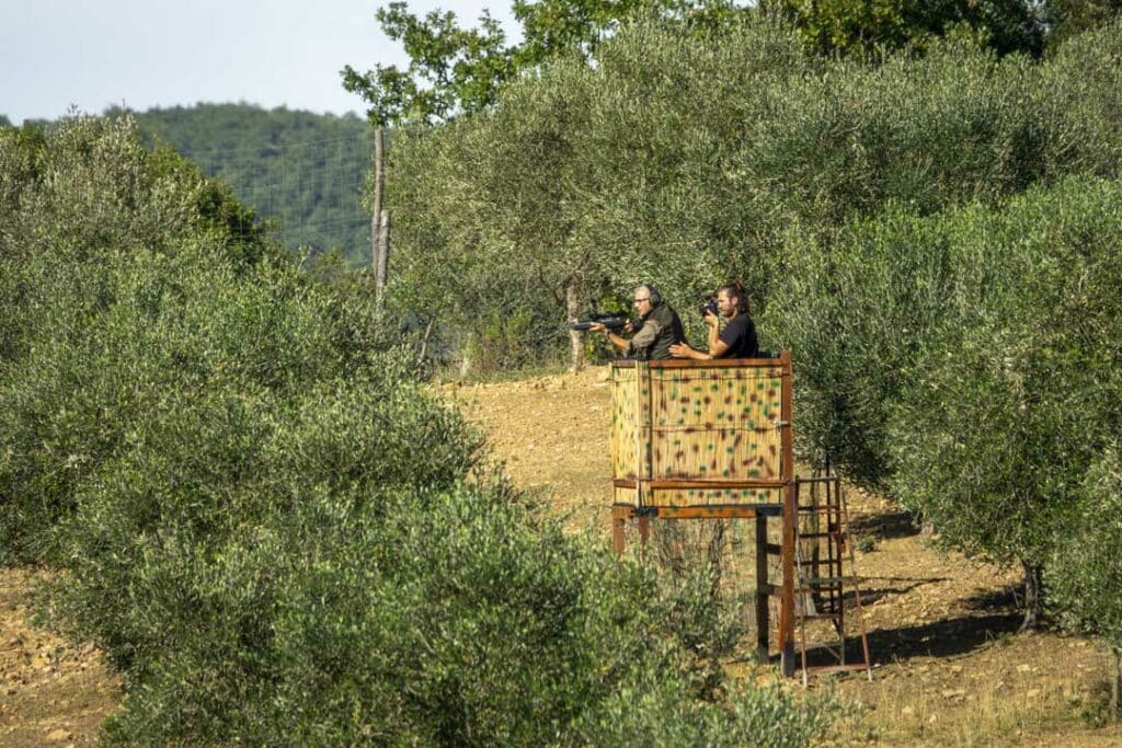 Il momento del prelievo di uno splendido daino maschio.