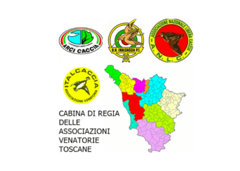 Toscana, la cabina di regia dice no allo stop alla caccia al muflone all’Isola del Giglio