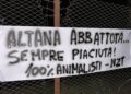 A Padova gli animalisti contro le altane: “Difenderemo i cinghiali”