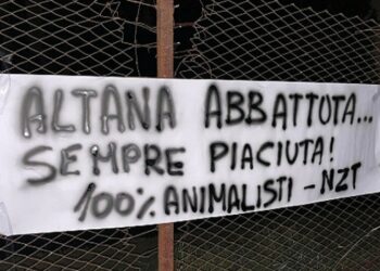 A Padova gli animalisti contro le altane: “Difenderemo i cinghiali”
