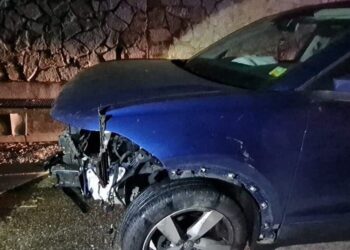 Auto si scontra con 8 cinghiali lungo l’autostrada Torino-Aosta