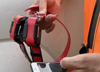 Benelli CADDY: il collare satellitare GPS per cani..