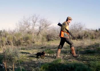 BENELLI CADDY e i cani da seguita..