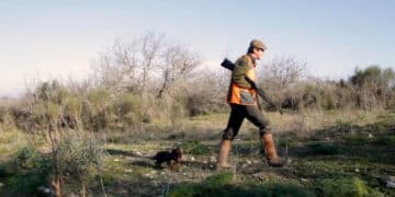 BENELLI CADDY e i cani da seguita..
