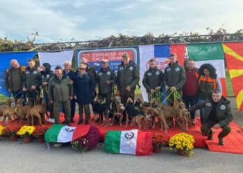 La rappresentativa ENCI vince la Coppa Europa per segugi su lepre in Serbia