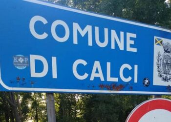 Emergenza cinghiali, il Comune di Calci (Pisa) chiede aiuto alla Regione