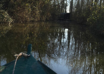 Federcaccia Pistoia: “Quale futuro per il Padule di Fucecchio?”
