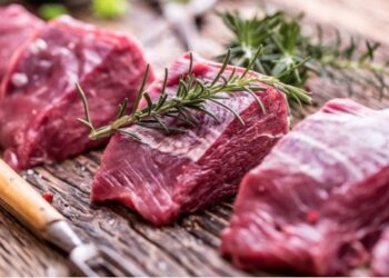 Toscana, al via impianto sosta nel Mugello per selvaggina cacciata