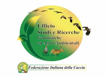 Una nuova rotta per la sorveglianza dell’influenza aviaria