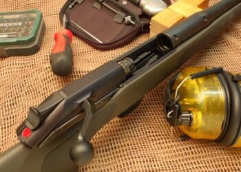 Blaser R 93 in .22-250 Rem.