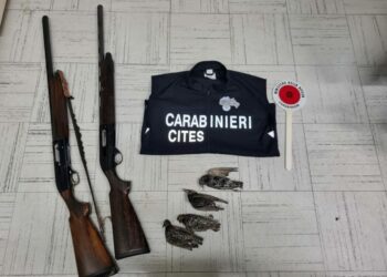 Mancata annotazione di 13 storni abbattuti, multa da 1200 euro