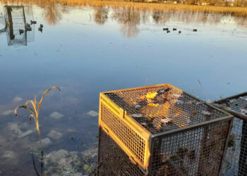 Ancora vandalismi, Federcaccia Milano e Monza Brianza scrive al questore