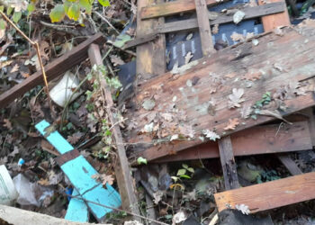 On. Mazzali: “A Rosate animalisti distruggono un capanno, giustizia faccia il suo corso”