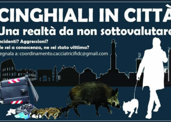 Dopo il lupo, il cinghiale: il Coordinamento Cacciatrici Federcaccia si attiva