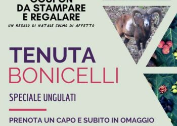 Regalati un Natale straordinario alla Tenuta Bonicelli