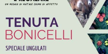 Regalati un Natale straordinario alla Tenuta Bonicelli