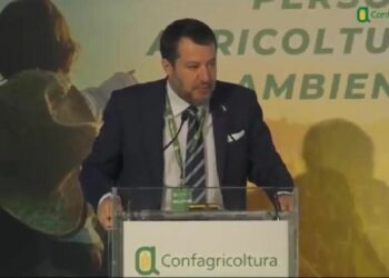 Matteo Salvini: “Non parlo di cinghiali per non urtare la sensibilità di nessuno”