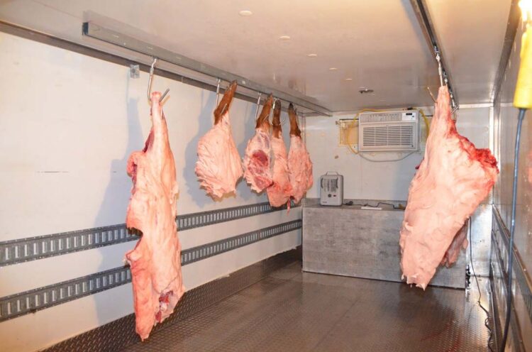 Aprendamos a almacenar y colgar la carne de caza - Caccia Passione