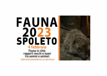 “Fauna 2023”, a Spoleto (PG) torna la tre giorni dedicata all’ambiente