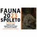 “Fauna 2023”, a Spoleto (PG) torna la tre giorni dedicata all’ambiente
