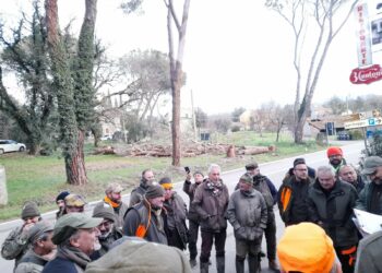 Cinofilia Federcaccia-UCT: inaugurata la stagione delle prove