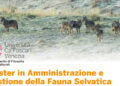 Master in Amministrazione e Gestione Fauna Selvatica: ultimi giorni per le iscrizioni