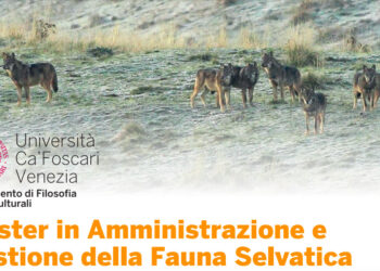 Master in Amministrazione e Gestione Fauna Selvatica: ultimi giorni per le iscrizioni