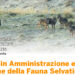 Master in Amministrazione e Gestione Fauna Selvatica: ultimi giorni per le iscrizioni