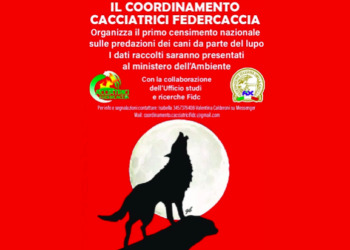 Coordinamento Cacciatrici Federcaccia: una nuova interessante iniziativa sul lupo