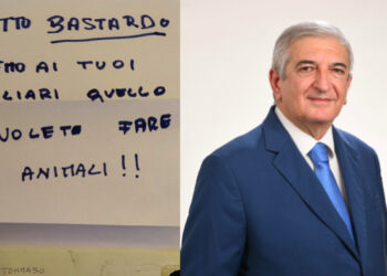 Emergenza cinghiali, le gravissime minacce animaliste all’on. Foti