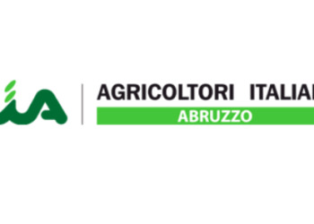 La preoccupazione di CIA Abruzzo: “Aumentano i danni dei cinghiali”