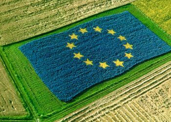 Nuovo anno e nuova PAC, implicazioni e opportunità per fauna selvatica e caccia