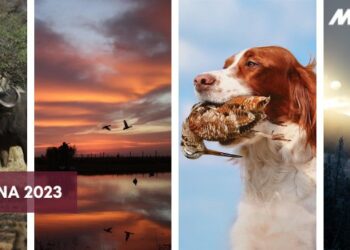 EOS 2023 di Verona: tante splendide proposte di viaggi venatori con Montefeltro