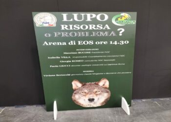 Il lupo è una risorsa o un problema? Concluso il convegno delle cacciatrici FIDC