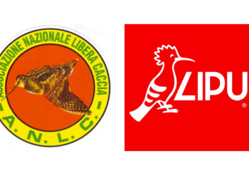 Libera Caccia contro la LIPU: “L’odio acceca e fa mentire”
