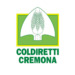 Contenimento cinghiali, Coldiretti Cremona chiede un tavolo urgente a Prefettura e Provincia