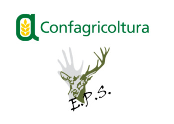 Fauna selvatica. Confagricoltura-EPS: “Urgente strategia per ridurre danni a colture e rischi salute”