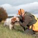 Benelli Caddy. A caccia con i setter inglesi..
